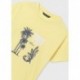 Set 2 camisetas m/c