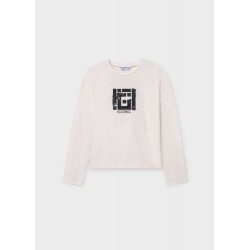 Camiseta m/l bordada