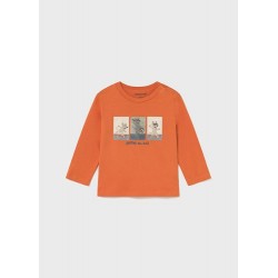 Camiseta m/l lenticular